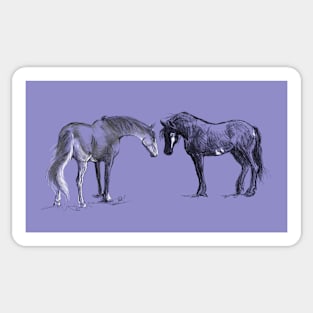 Two Horses Sticker